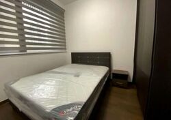 Eight Riversuites (D12), Condominium #553545501